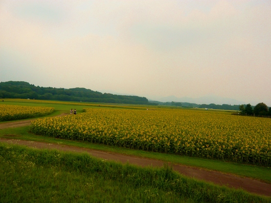 a0206332_844281.jpg