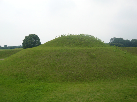 a0206332_8455527.jpg