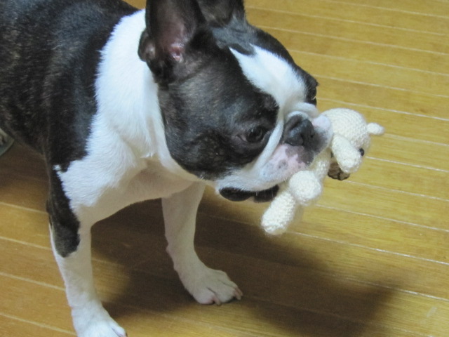 c0265837_21135370.jpg