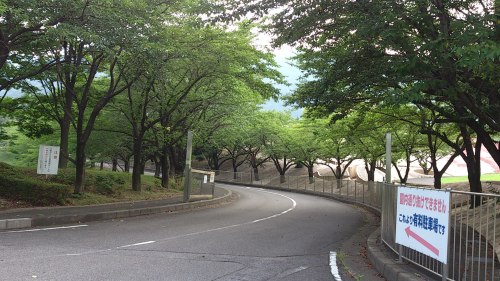 b0076739_20491488.jpg
