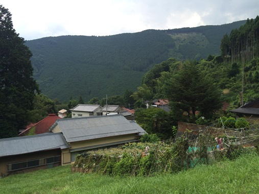 a0116442_1758266.jpg