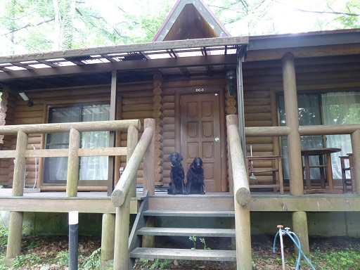 f0107145_22404018.jpg