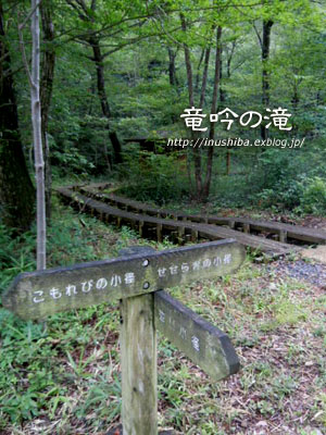 a0286855_15524189.jpg