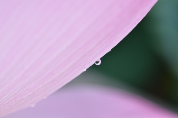f0297861_223880.jpg