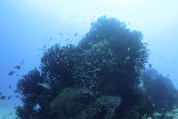 b0062363_16204169.jpg