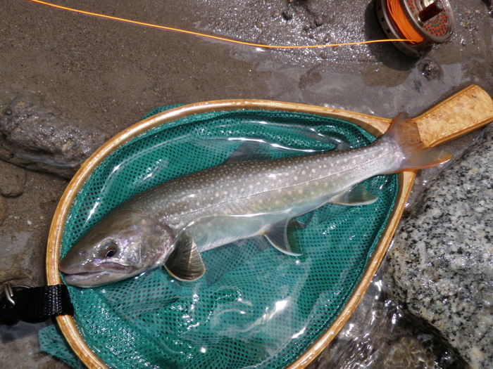 b0120066_13542321.jpg