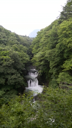 b0124466_17413298.jpg