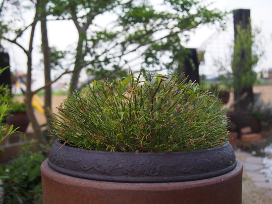b0194267_21574070.jpg