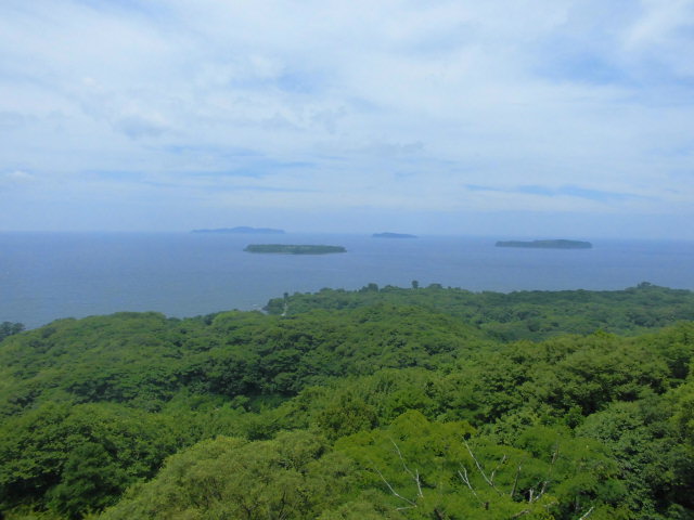 f0318967_19285943.jpg