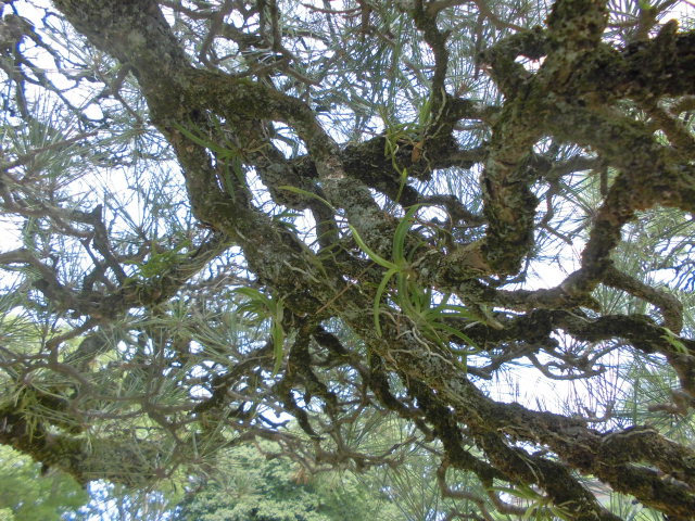 f0318967_19345912.jpg