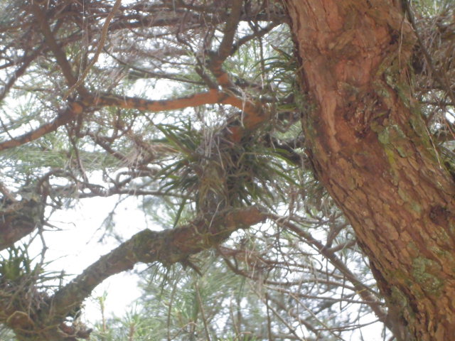 f0318967_19361407.jpg