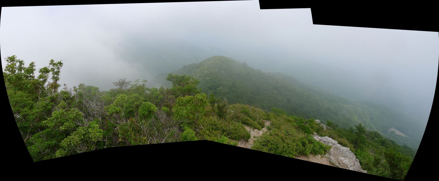 c0019376_1420888.jpg