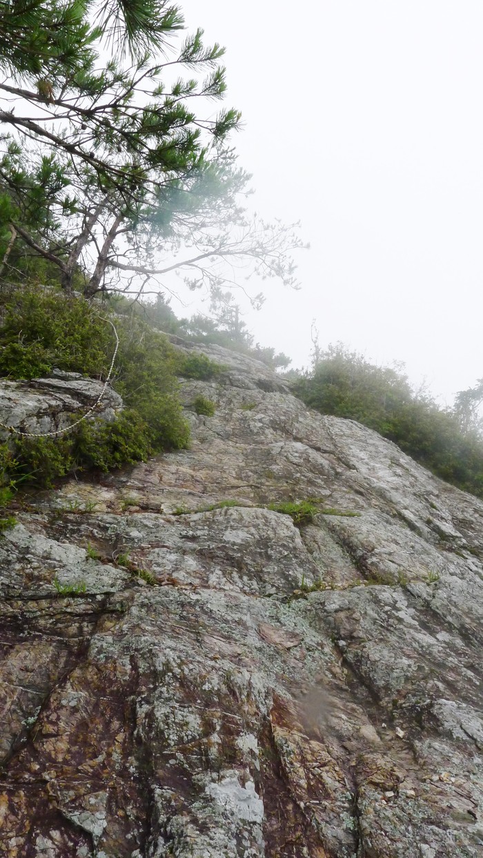 c0019376_1422231.jpg
