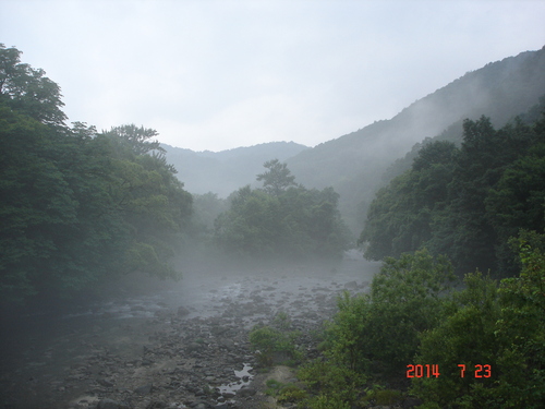 d0165378_8431955.jpg