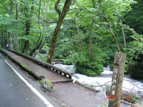 d0165378_8441660.jpg