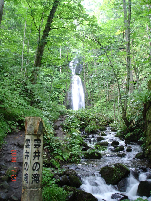 d0165378_8451059.jpg