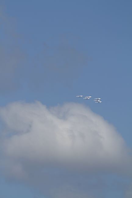 e0326479_7135578.jpg