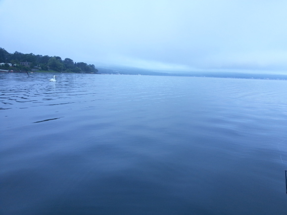f0199881_15555136.jpg