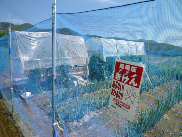 c0236283_11505269.jpg