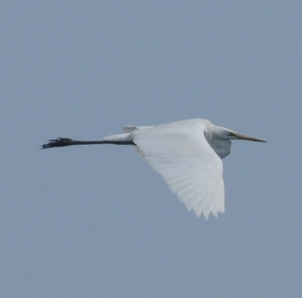 f0159390_16594761.jpg