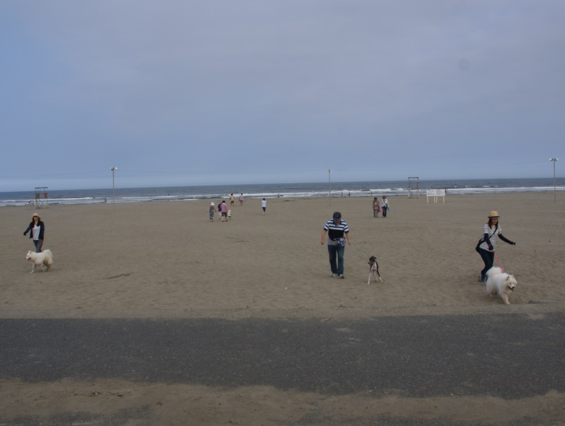 e0018604_21122590.jpg