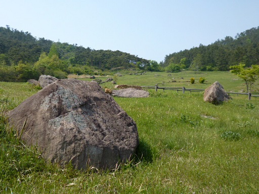 a0140305_0591918.jpg