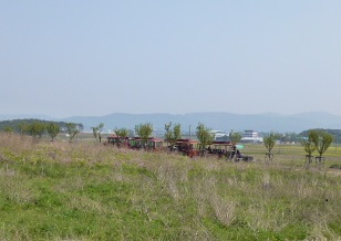 a0140305_101989.jpg
