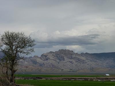 a0310405_06001137.jpg