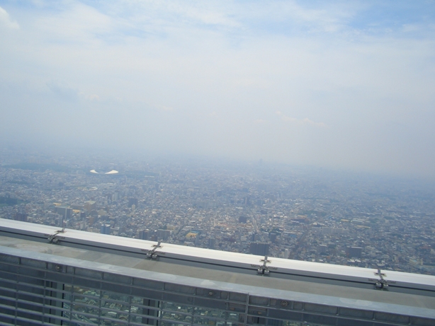 e0033713_10040297.jpg