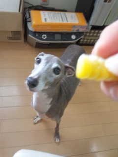 c0003217_8502830.jpg