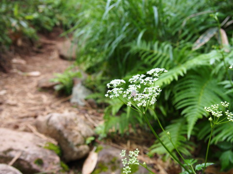 b0147224_2138493.jpg