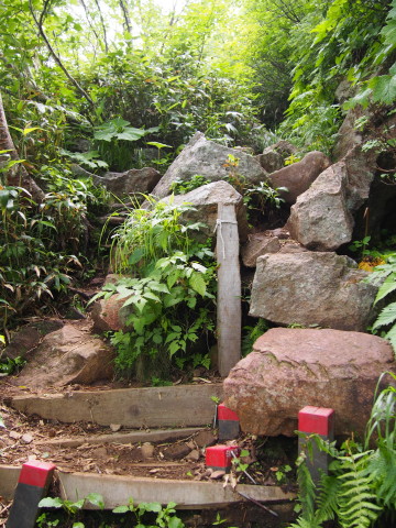 b0147224_21472247.jpg