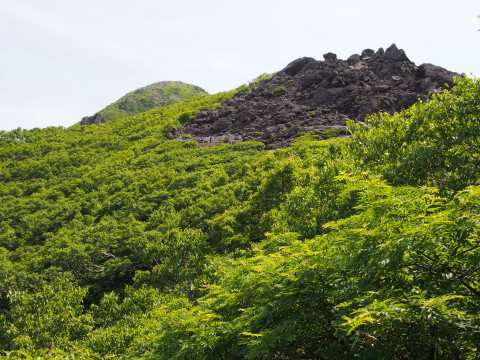 b0147224_21503354.jpg