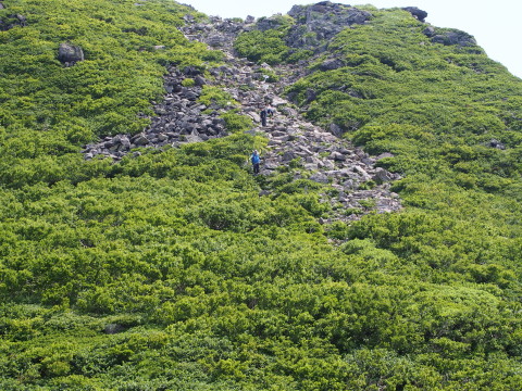 b0147224_21562231.jpg