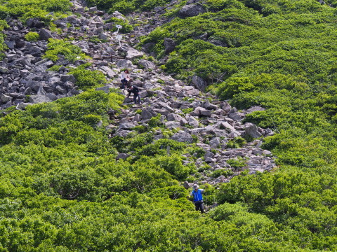 b0147224_21565019.jpg