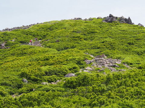 b0147224_21575427.jpg