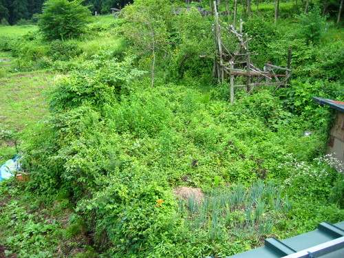 f0203324_16551510.jpg