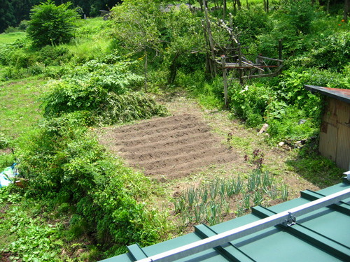 f0203324_16554177.jpg