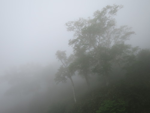 b0178339_16321137.jpg