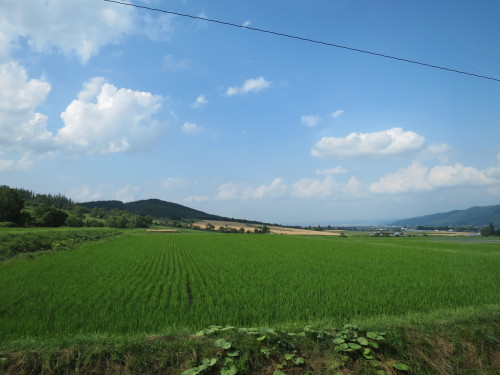 b0178339_17412366.jpg