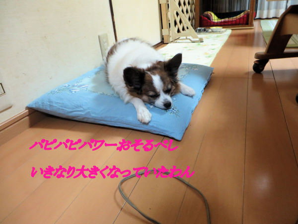 a0149240_21222280.jpg