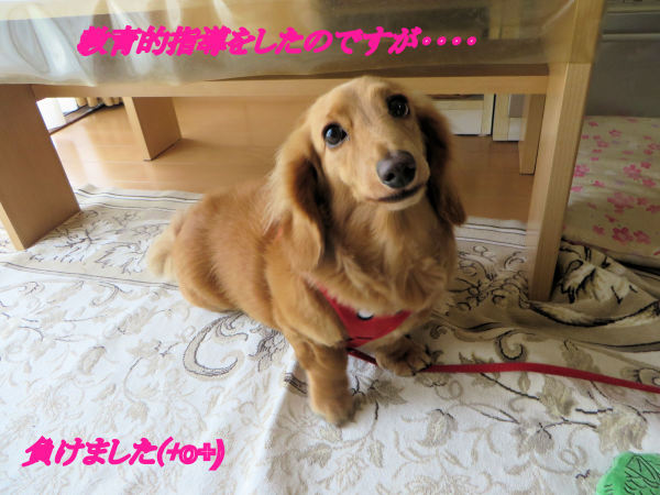 a0149240_21223456.jpg