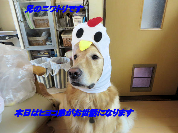 a0149240_21231337.jpg