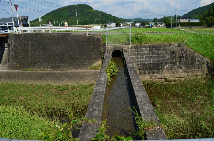 b0288942_921568.jpg