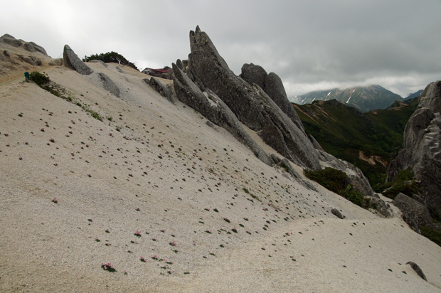 f0214649_11524984.jpg