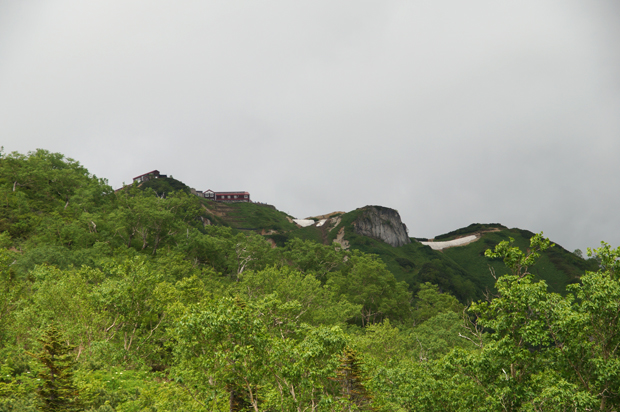 f0214649_4452469.jpg