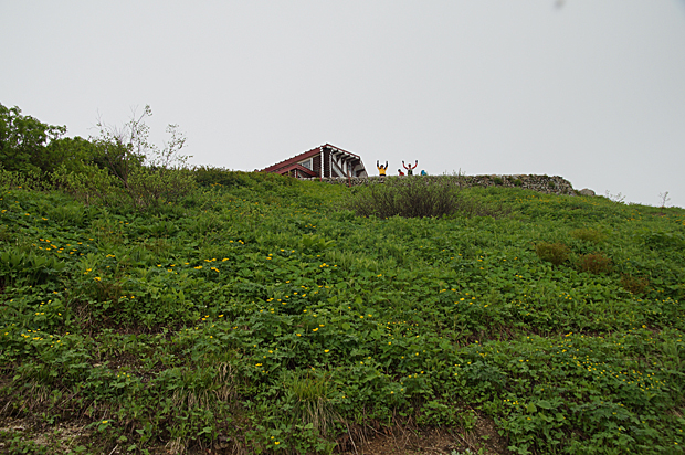 f0214649_4502618.jpg