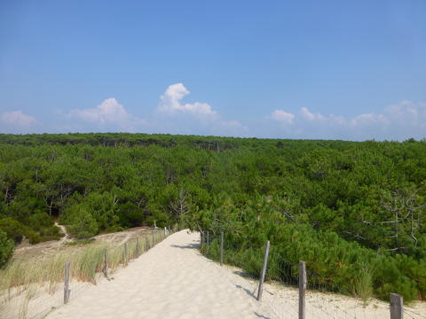 b0296855_18154127.jpg