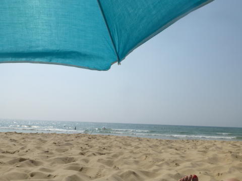 b0296855_18163160.jpg