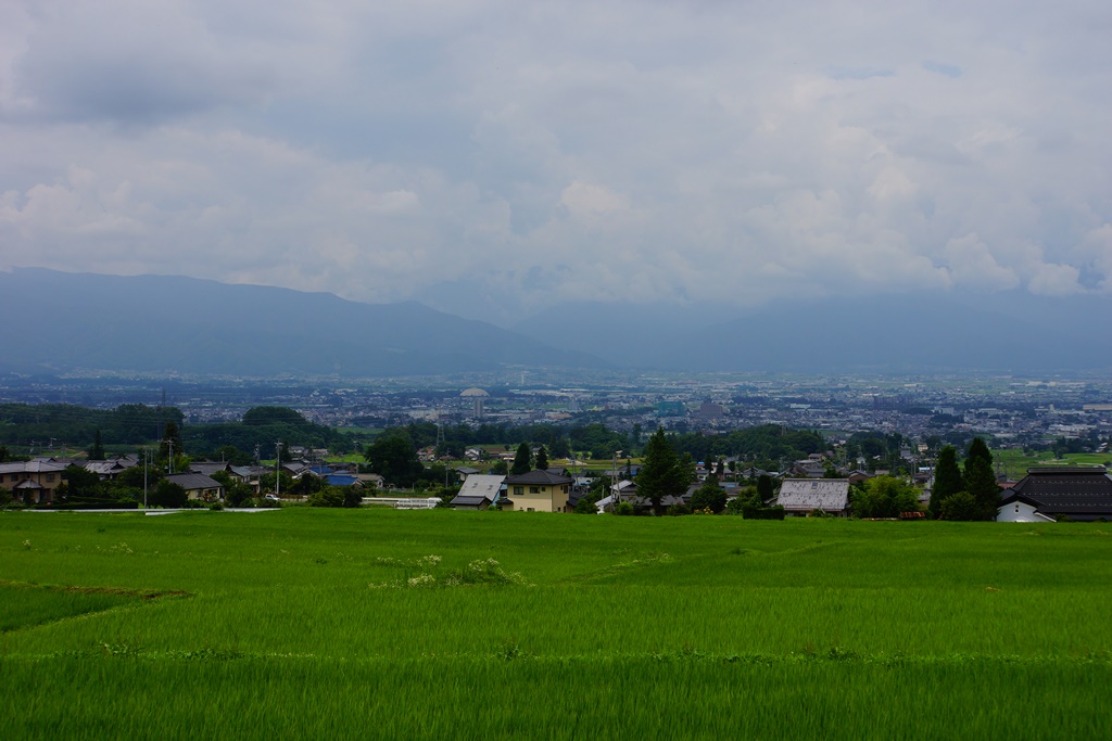 e0223456_981668.jpg